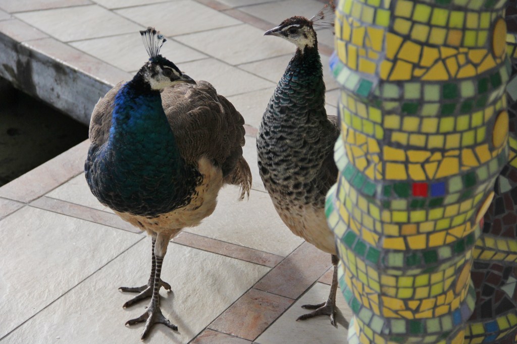 Bruno Weber Skulpturenpark